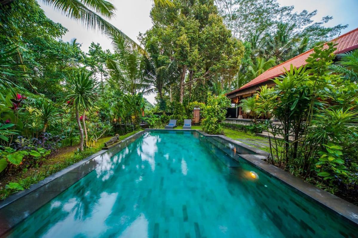 Luxury 3Br Infinity Jungle View Aashaya Villa Ubud Exteriér fotografie