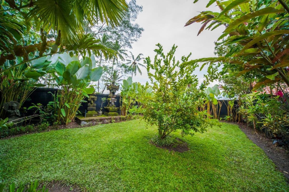 Luxury 3Br Infinity Jungle View Aashaya Villa Ubud Exteriér fotografie