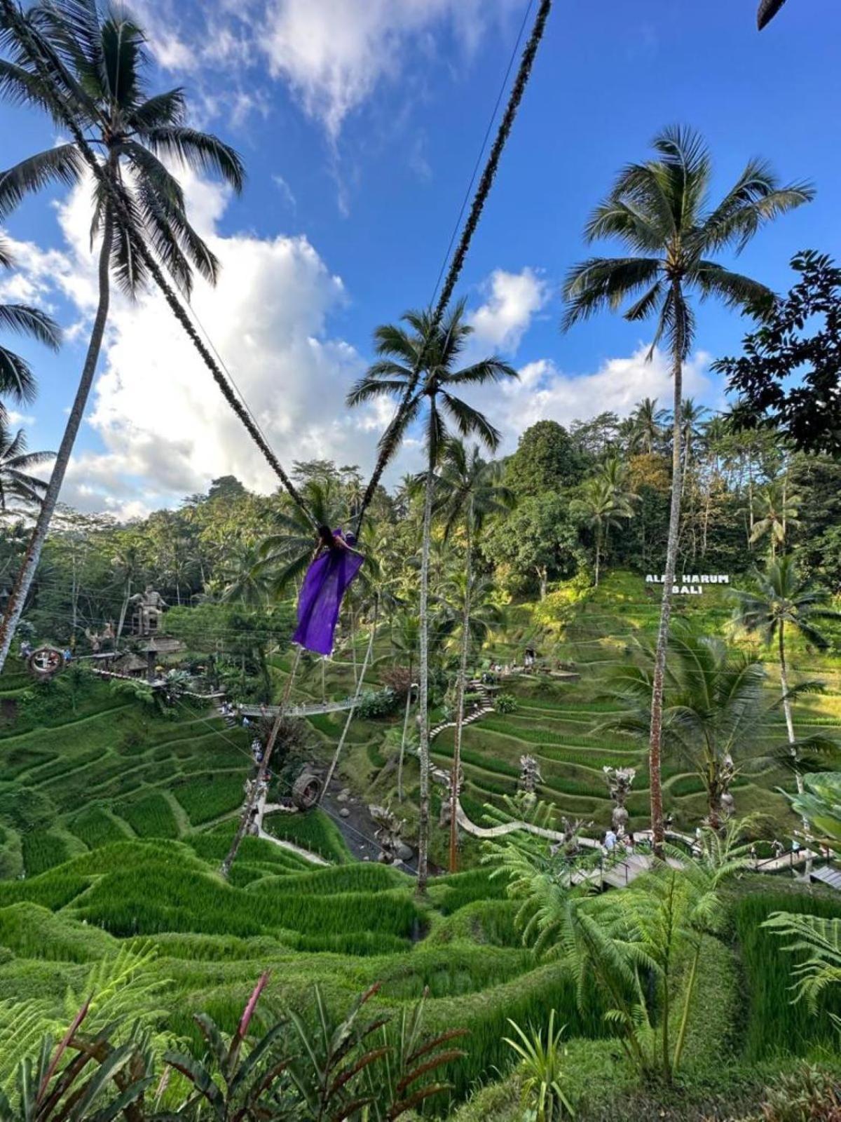 Luxury 3Br Infinity Jungle View Aashaya Villa Ubud Exteriér fotografie