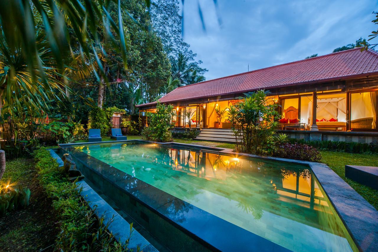 Luxury 3Br Infinity Jungle View Aashaya Villa Ubud Exteriér fotografie