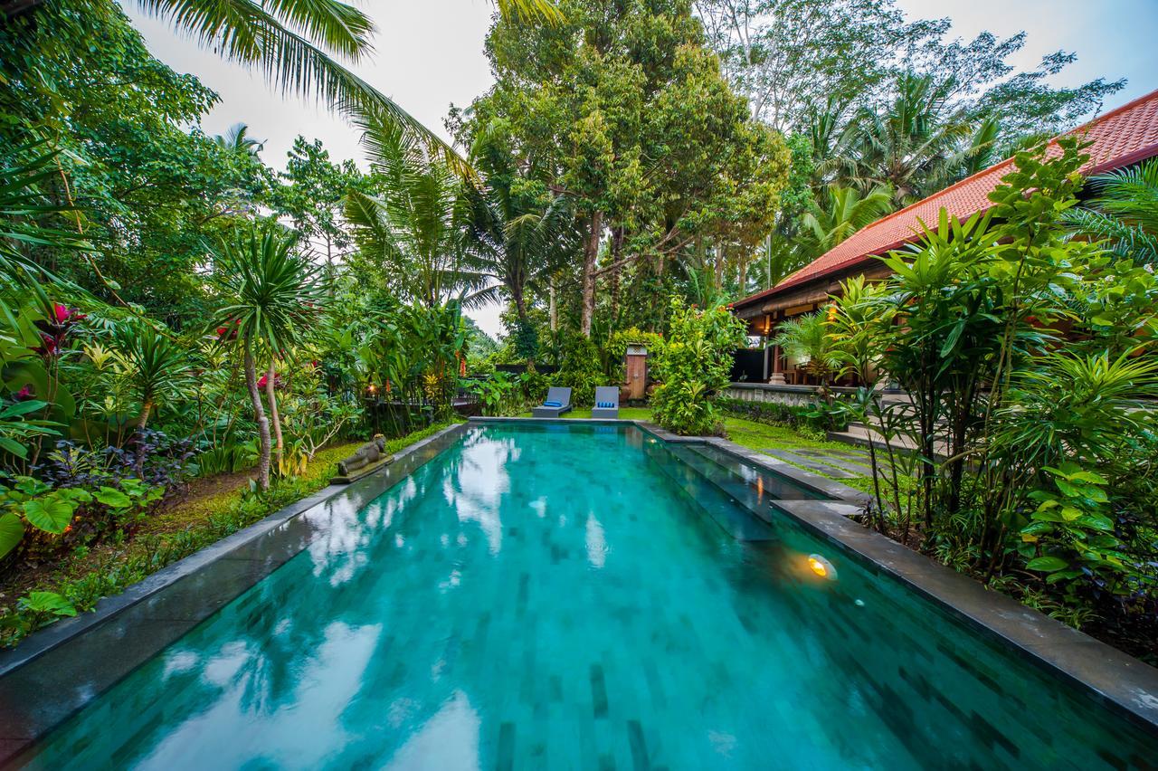 Luxury 3Br Infinity Jungle View Aashaya Villa Ubud Exteriér fotografie