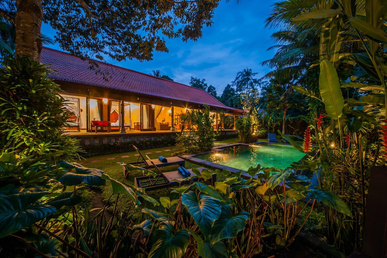 Luxury 3Br Infinity Jungle View Aashaya Villa Ubud Exteriér fotografie